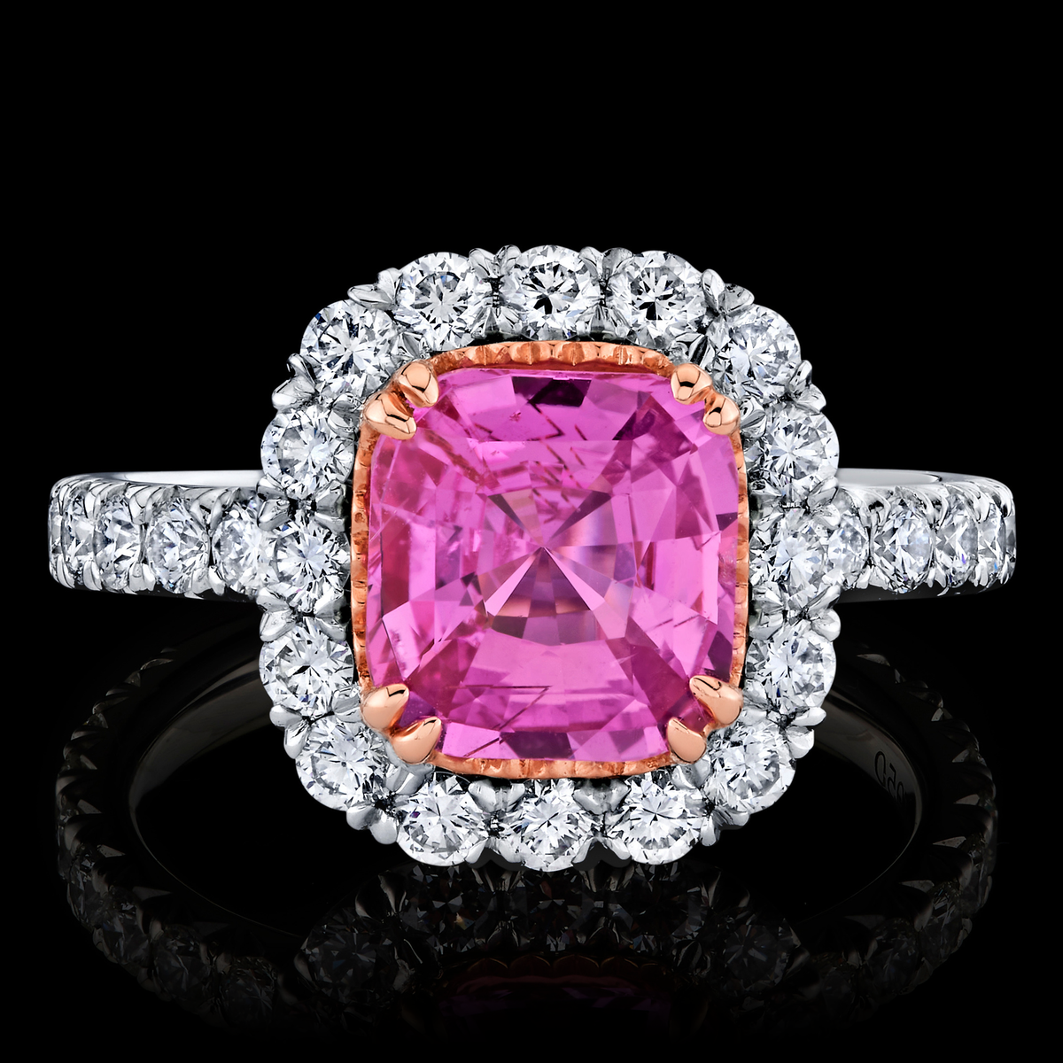 Fuchsia Fairy ring, primary collection thumbnail