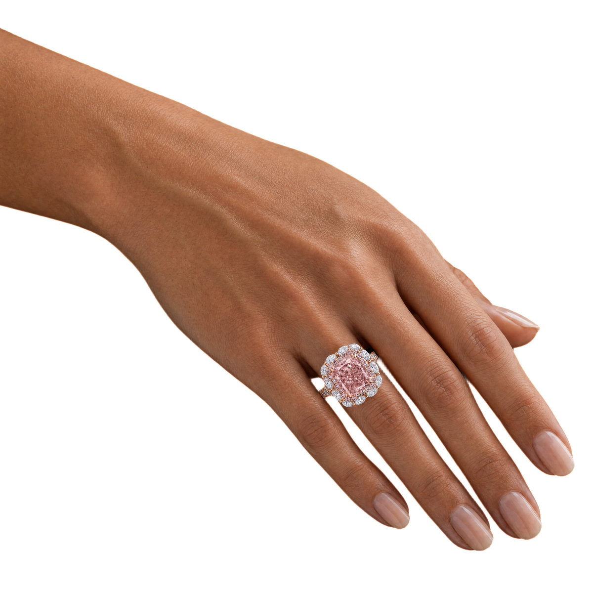 Briar Rose transparent hand photograph [website-only hand]