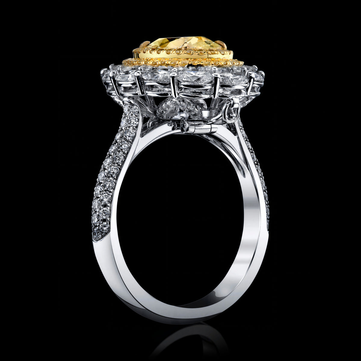 Golden Brocade ring, card hover image
